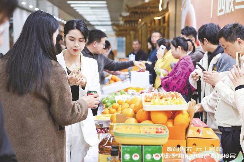 城建档案整理:如何让历史见证更加有条理