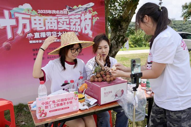 档案管理系统的变革:从传统到智能